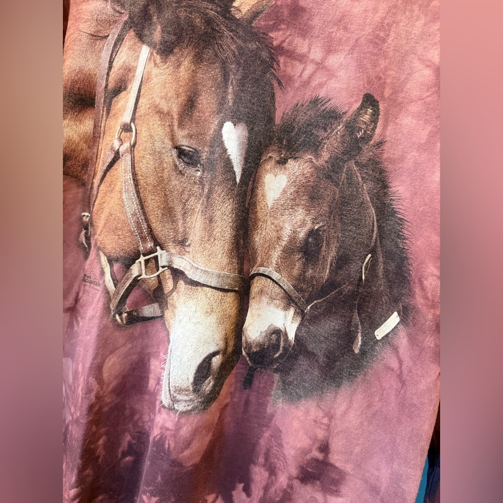 The Mountain Horses 2009 Long Sleeve Tee Shirt Size M - Picture 3 of 7